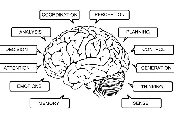 Does brain training work?